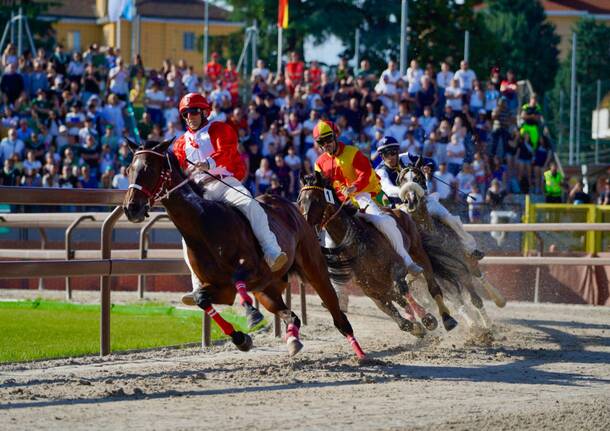 Palio di Legnano: la corsa - Foto di Daniele Zaffaroni