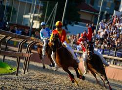 Palio di Legnano: la corsa - Foto di Daniele Zaffaroni