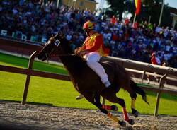 Palio di Legnano: la corsa - Foto di Daniele Zaffaroni