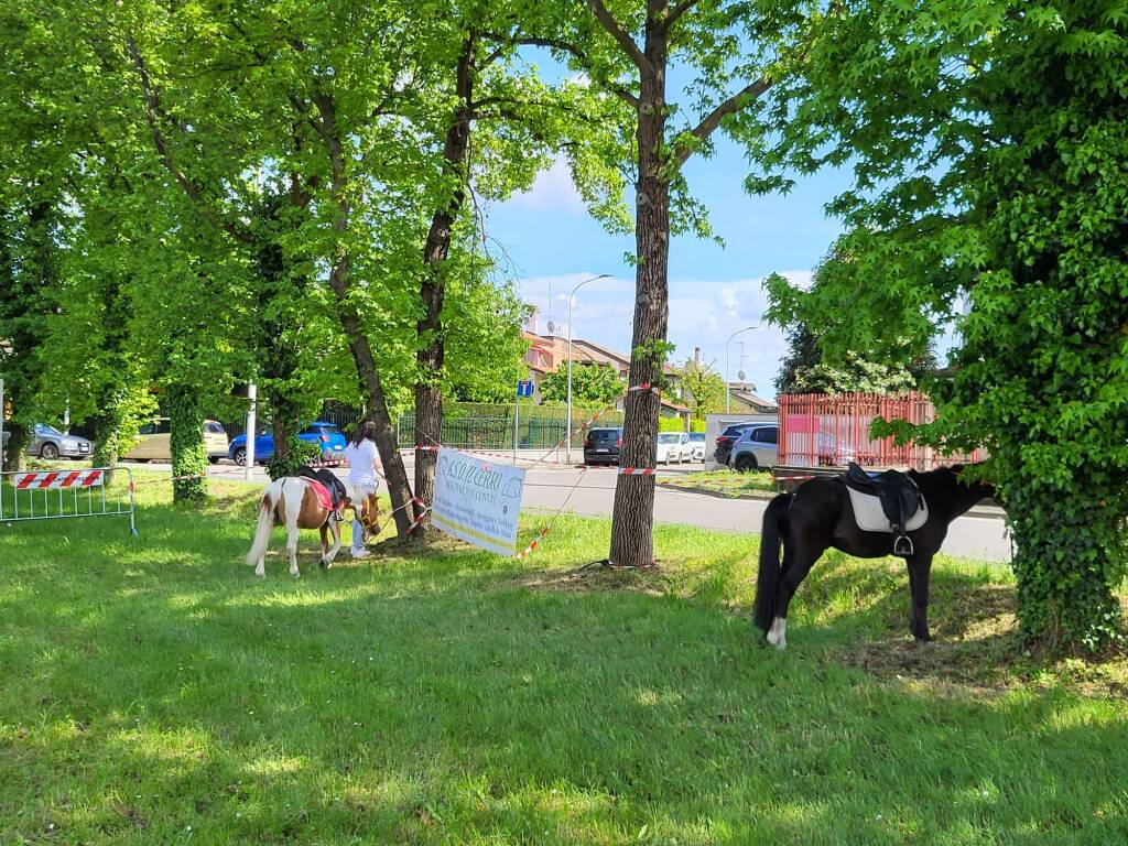 Pony, aquiloni e mongolfiere: Festa dell'Aria da "sold out" a Cantalupo