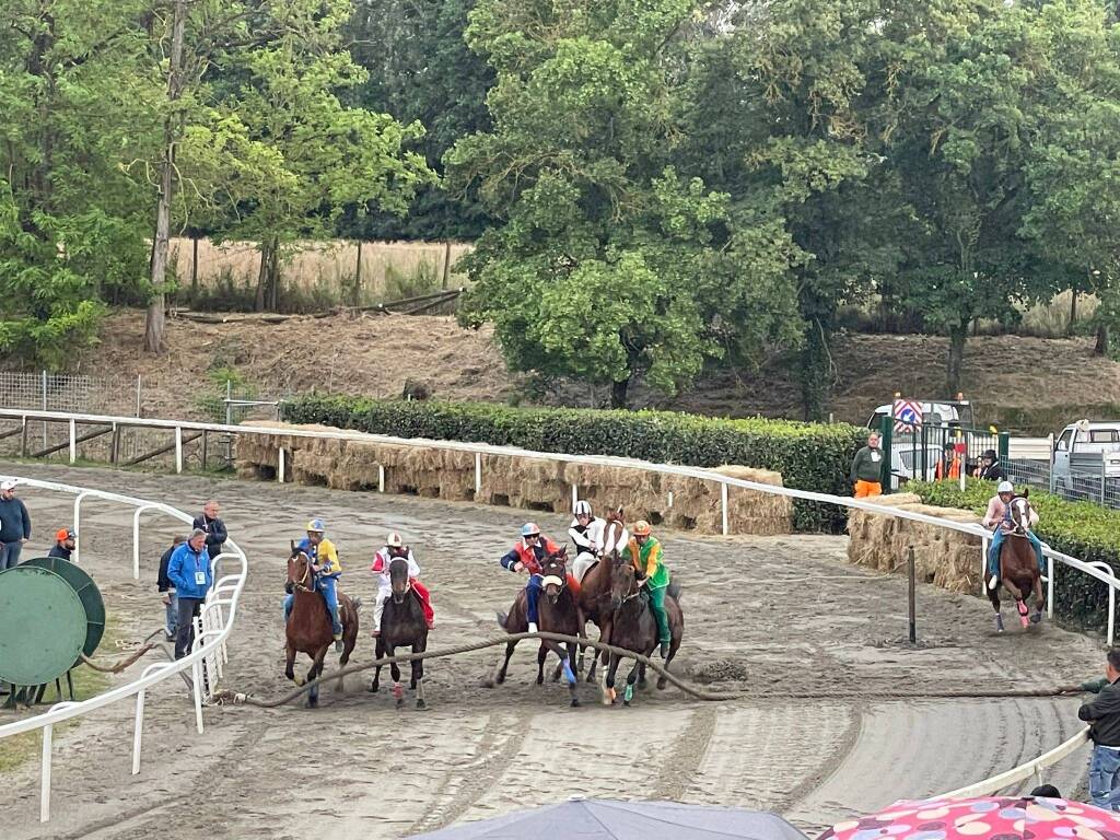 Prove al Palio di Fucecchio 2024