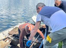 Pulizia del lago a Biandronno