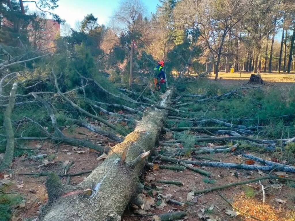 Tre anni di Parco Alto Milanese