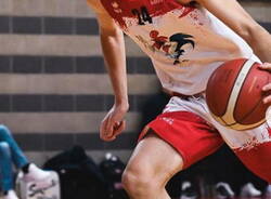 varese basketball roosters
