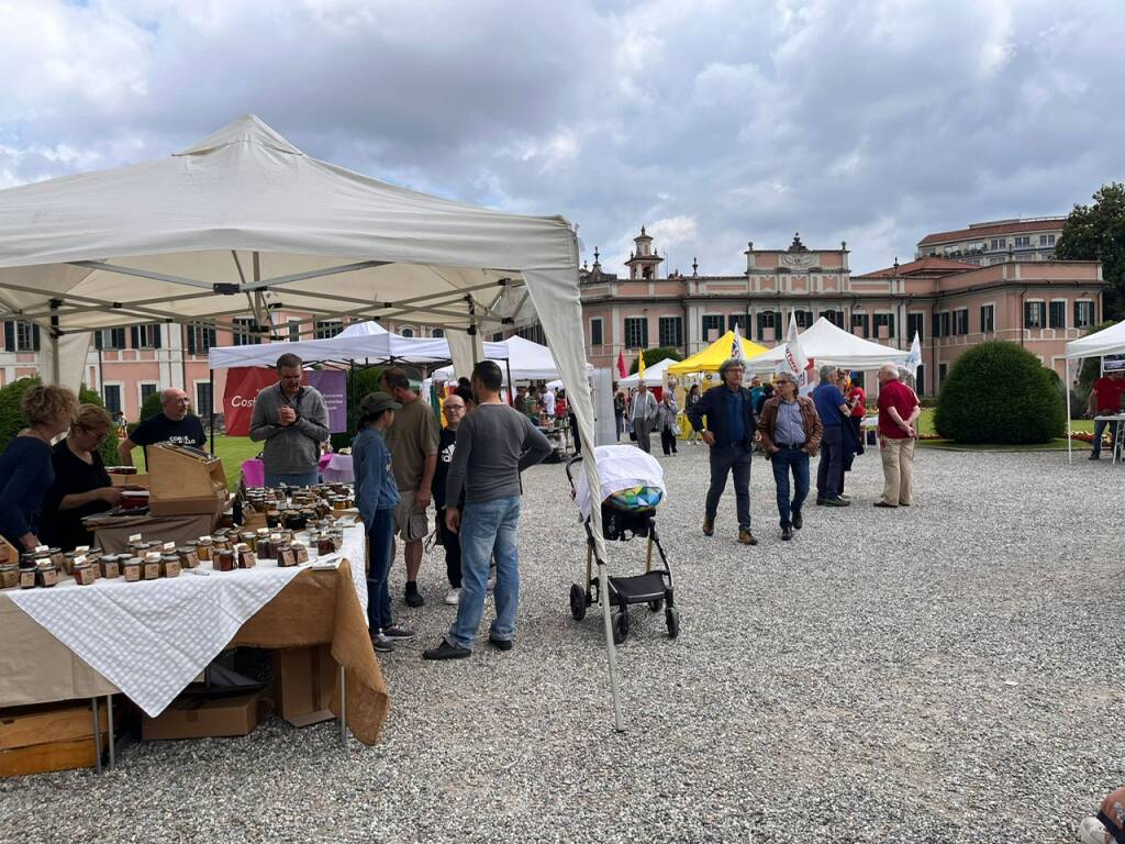 Alla Fiera del DES ai Giardini Estensi