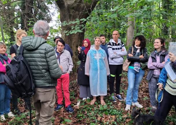  bosco di via Curtatone a Gallarate