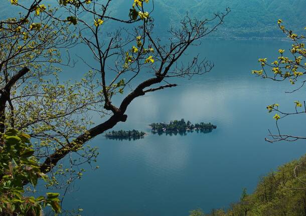 Brissago lago maggiore Foto di Andreas da Pixabay