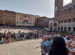 Dalla Provaccia di Legnano al Palio di Siena, "Ares Elce" ai canapi con il Leocorno