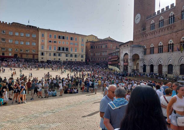 Dalla Provaccia di Legnano al Palio di Siena, “Ares Elce” ai canapi con il Leocorno – a cura di Andrea Bernasconi