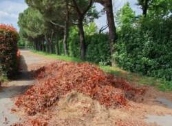 La piscina di Cerro Maggiore torna al Comune