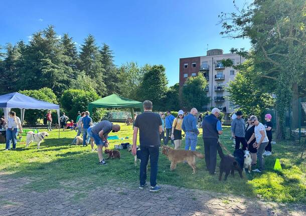 Seconda edizione evento "Qua la zampa!"