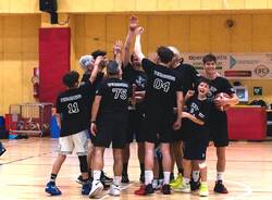 veronesi basket malnate