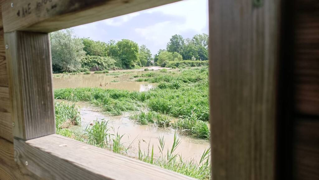 Fiume Olona dopo i temporali del 7 luglio 