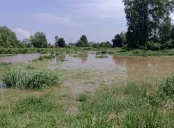 Fiume Olona dopo i temporali del 7 luglio 