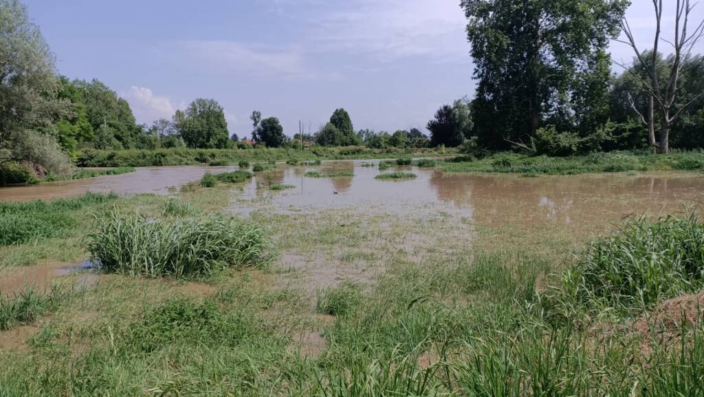 Fiume Olona dopo i temporali del 7 luglio 