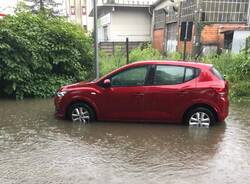 Forti piogge a Varese, canile di nuovo sott'acqua