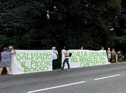 la manifestazione per il bosco di via Curtatone a Gallarate