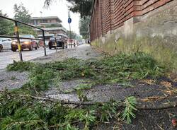 Tempesta tropicale a Varese: le foto del 12 luglio