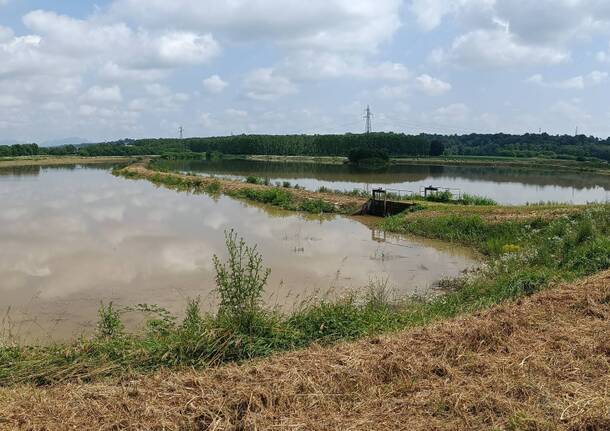 Il “lago” creato dall’Arno fuori Gallarate