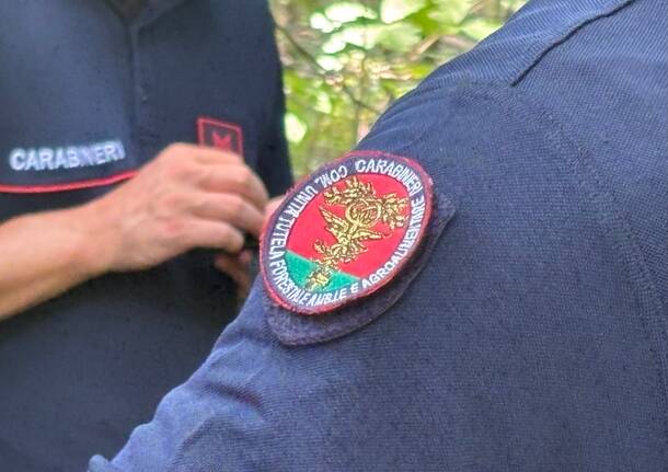 carabinieri forestali 