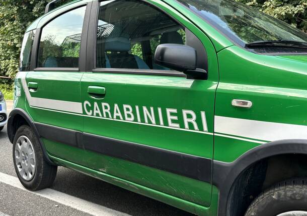 carabinieri forestali 