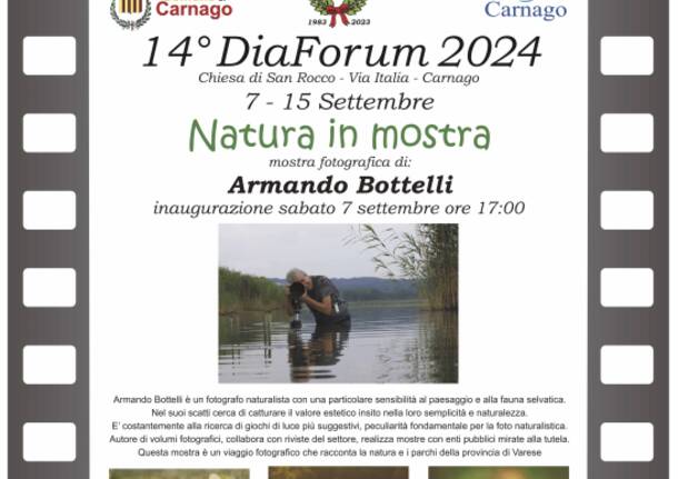 14° Diaforum - Chiesa di San Rocco a Carnago, dal 7 al 15 settembre, inaugurazione ore 17 del 7 settembre 2024