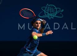 mattia bellucci tennis 2024 | foto mubadala citi open