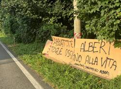 Protesta contro l'abbattimento degli alberi in via Curtatone a Gallarate