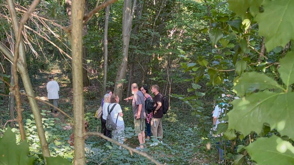 Protesta contro l'abbattimento degli alberi in via Curtatone a Gallarate