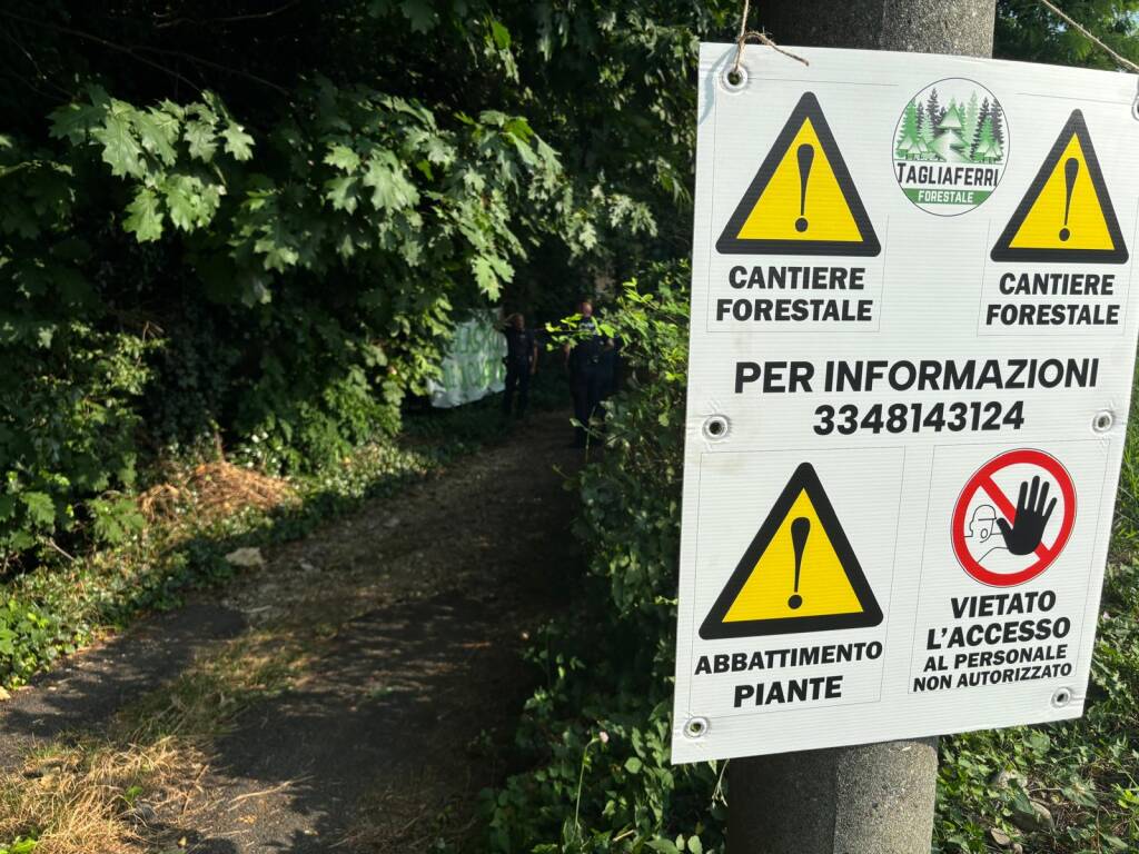 Protesta contro l'abbattimento degli alberi in via Curtatone a Gallarate