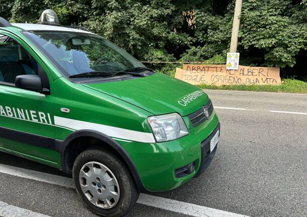 Il Comitato Salviamo gli Alberi contro il taglio del boschetto di via Curtatone a Gallarate