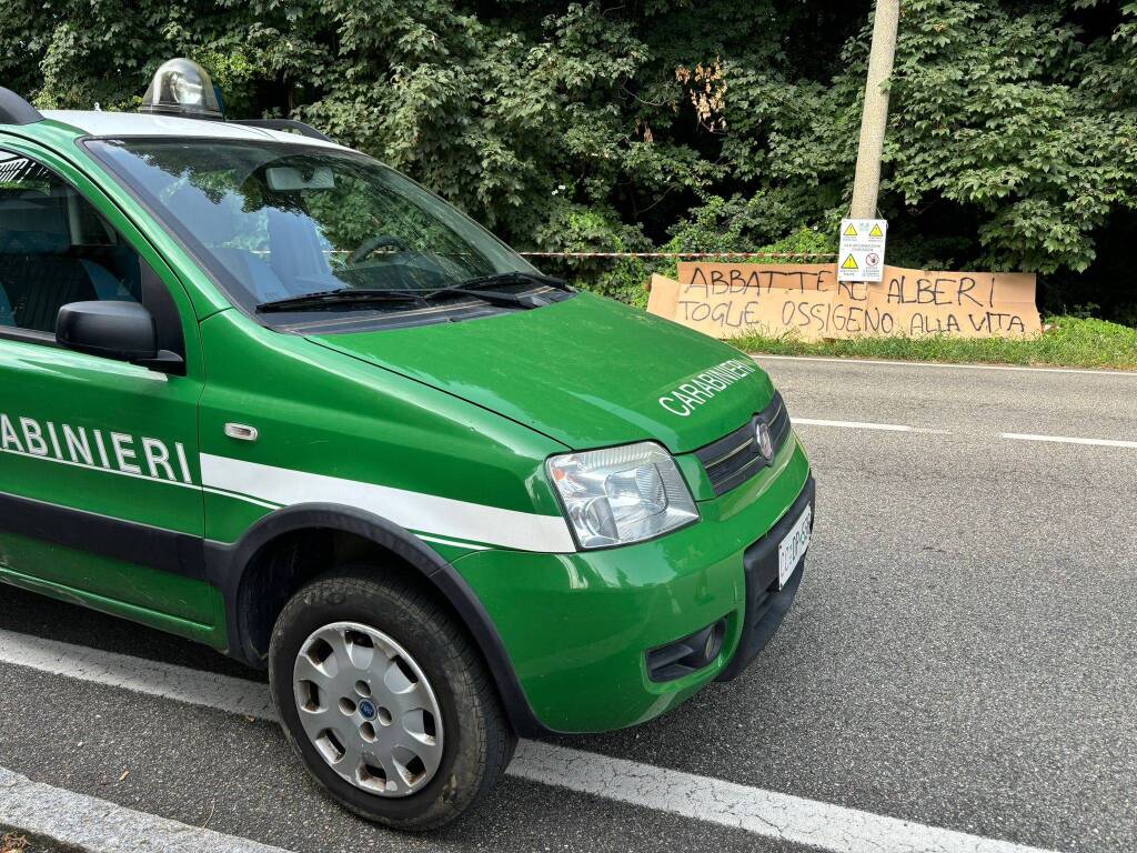 Protesta contro l'abbattimento degli alberi in via Curtatone a Gallarate