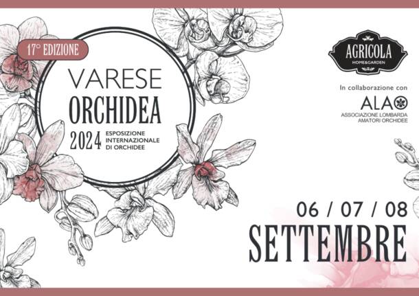 Varese Orchidea 