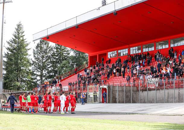 calcio varese albenga