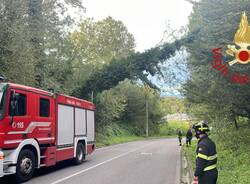 Vento, gli interventi in provincia di Como