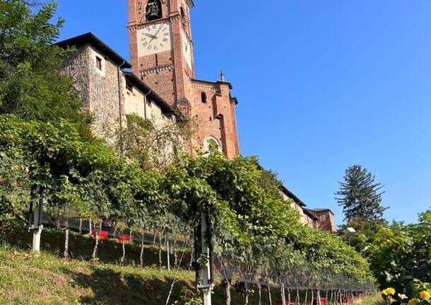 EVENTO BENEFICO VINO \"Il COLLEGIATA\"