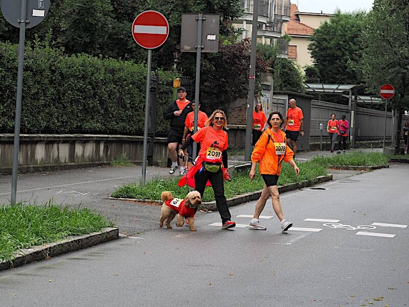 La GallaRun Ten ferma la pioggia e conquista Gallarate