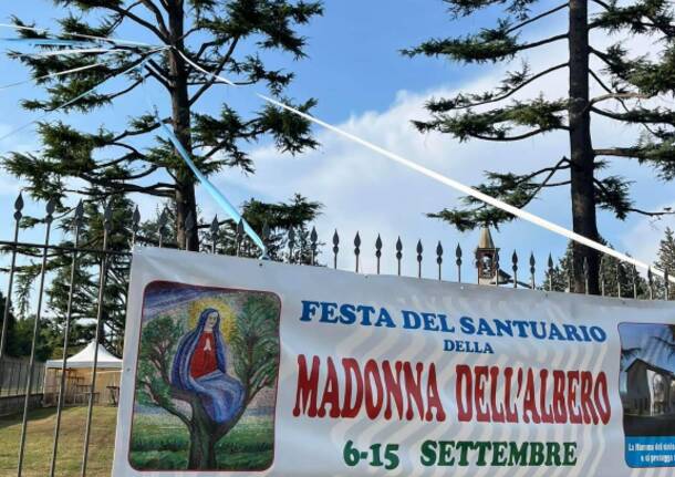 Madonna dell'Albero Prospiano Gorla Minore 2024