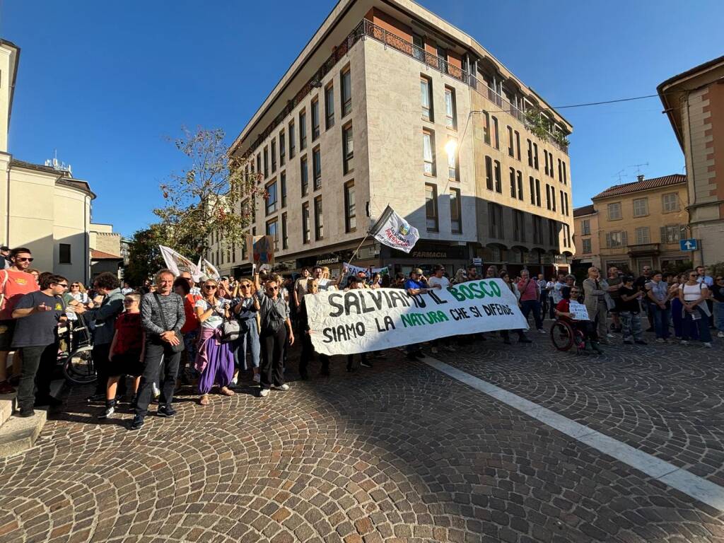 Manifestazione Gallarate via Curtatone