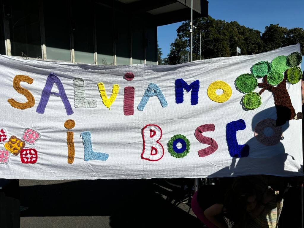 Manifestazione Gallarate via Curtatone