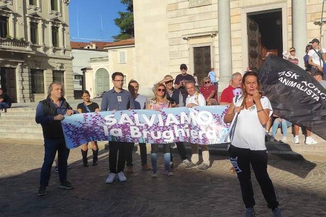 Manifestazione Gallarate via Curtatone