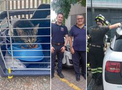 Polizia Locale Malpensa