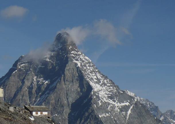 testa grigia montagna