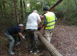 Volontari del progetto di cittadinanza attiva "Adotta un sentiero" al lavoro per ripulire i sentieri del Rugareto