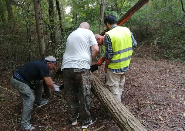 Volontari del progetto di cittadinanza attiva "Adotta un sentiero" al lavoro per ripulire i sentieri del Rugareto