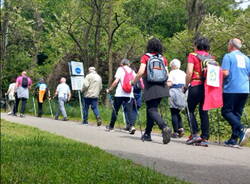 Il nordic walking dell\'Associazione Parkinson Insubria