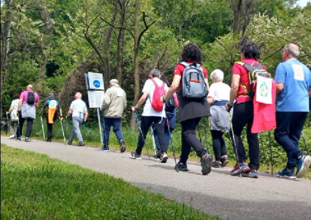 Il nordic walking dell\'Associazione Parkinson Insubria