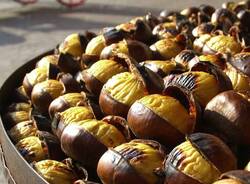 castagne