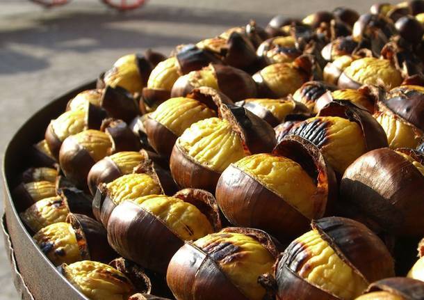 castagne