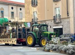 Festa dell'uva Gallarate - Sfilata carri allegorici